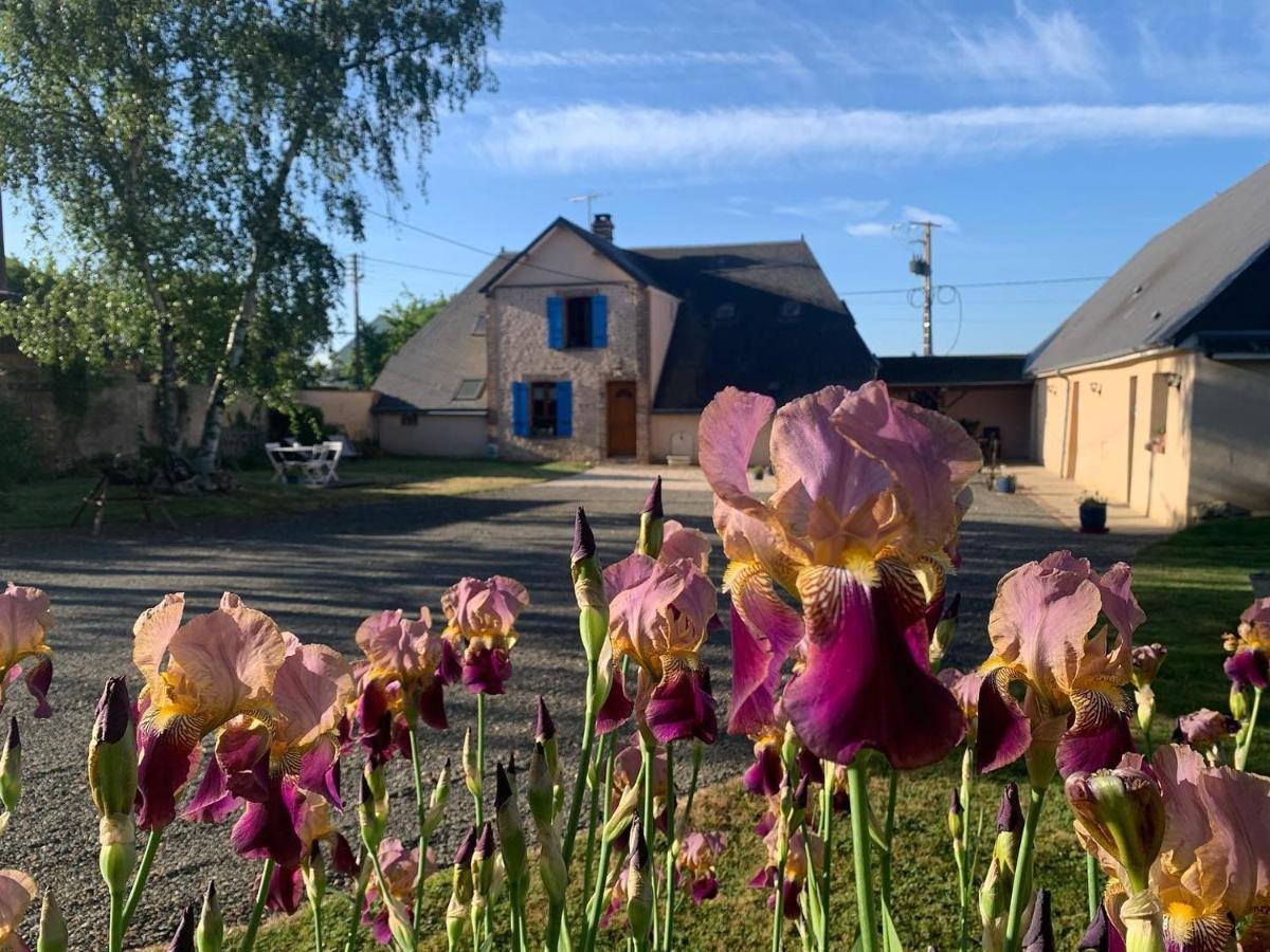 Bed and Breakfast Les Logis Du Breuil Marchéville Esterno foto